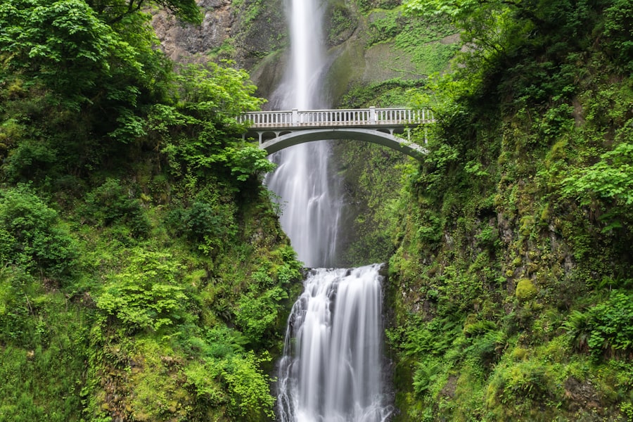 Lumière — visuel 1